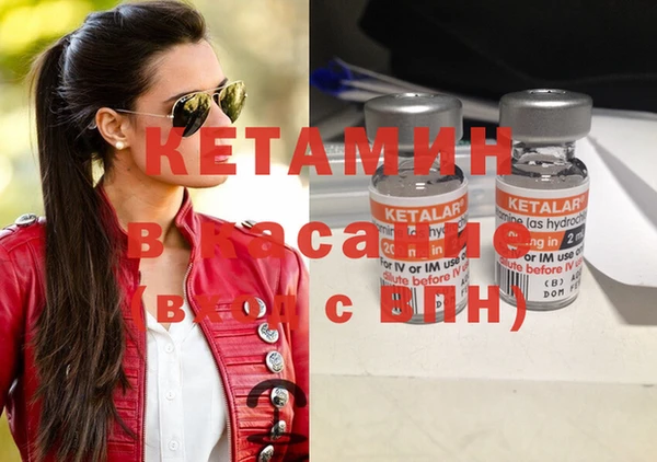 крисы Абаза