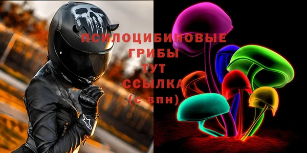 ECSTASY Алзамай